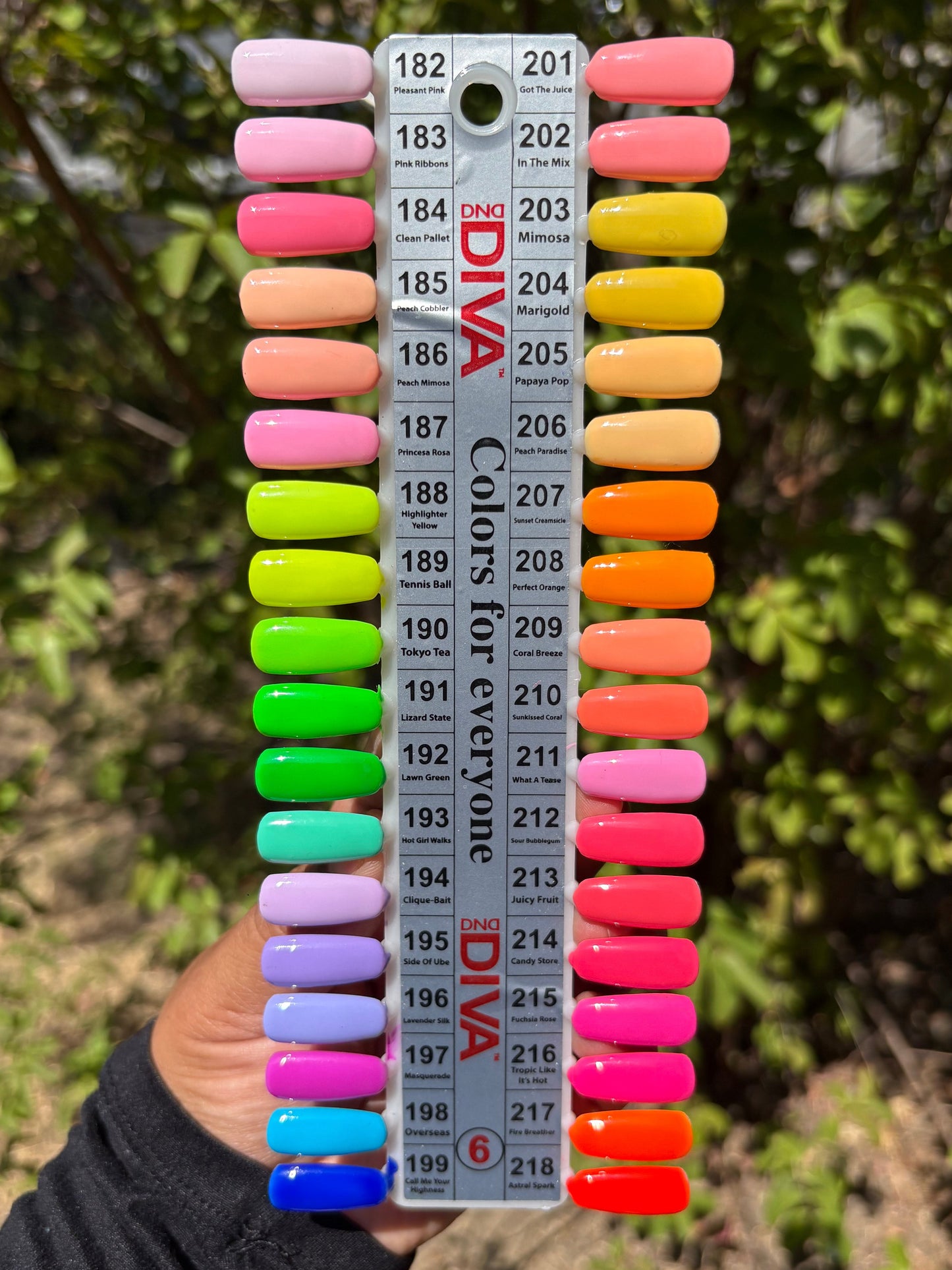 Summer Solids Sale