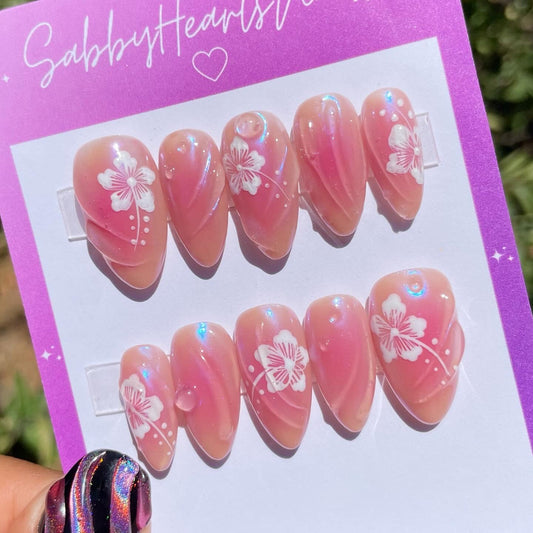 Blush Hibiscus